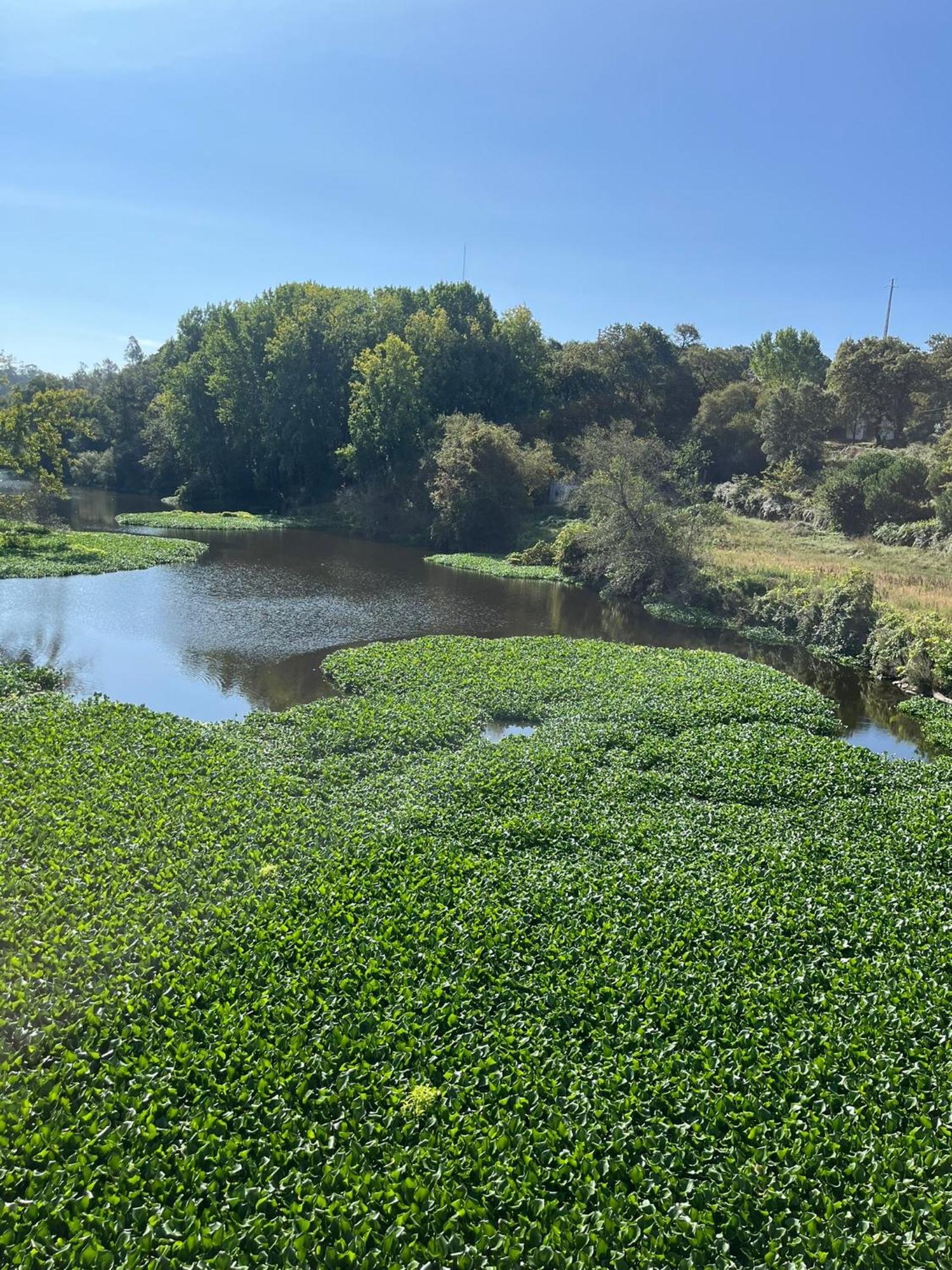 Mar Azul Apartamento Póvoa de Varzim